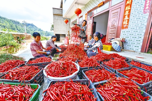 黨建帶婦建 發(fā)展產(chǎn)業(yè)帶民富