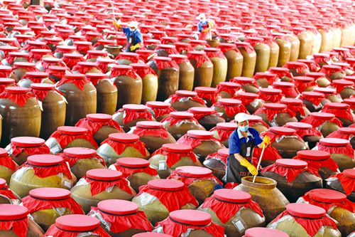 釀制酸湯 供應(yīng)市場